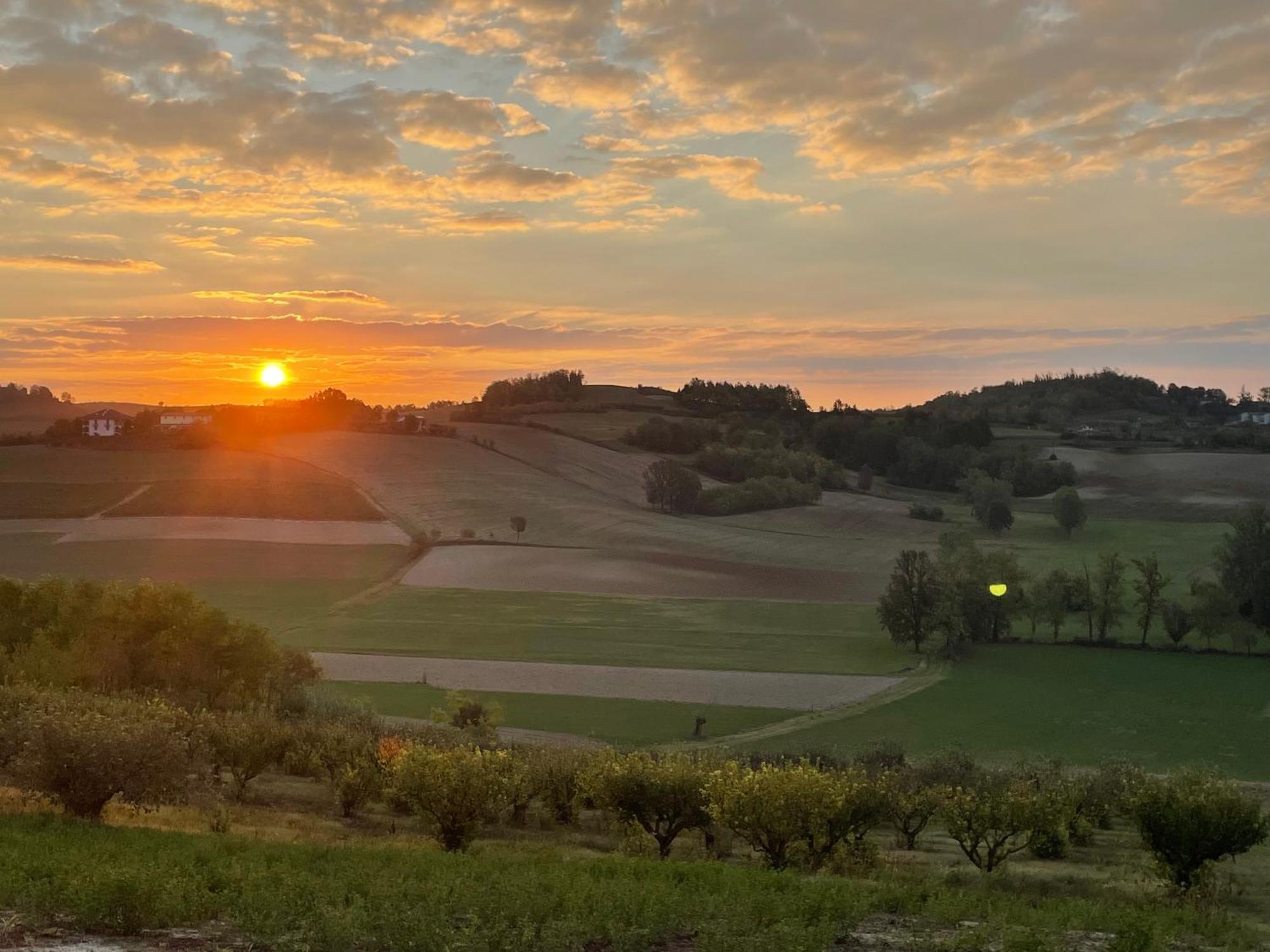 Azienda Agricola Tenuta Del Barone Каллиано Экстерьер фото