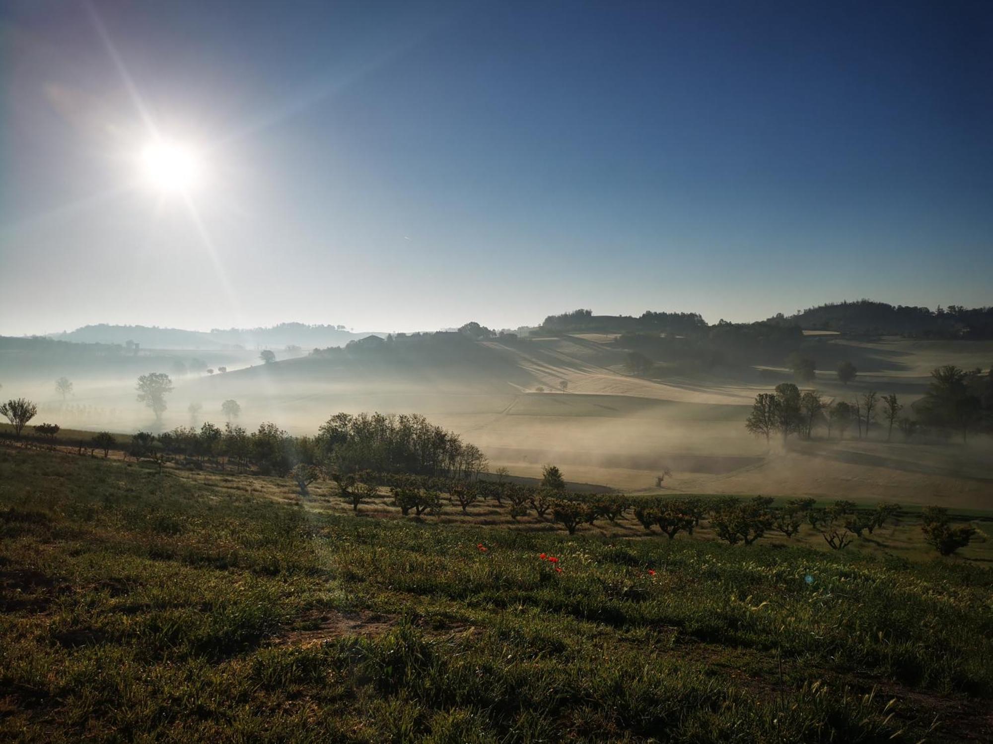 Azienda Agricola Tenuta Del Barone Каллиано Экстерьер фото